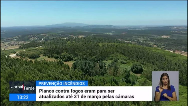 floresta RTP