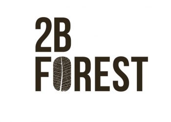 2BForest