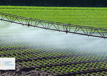 Agricultura de precisão