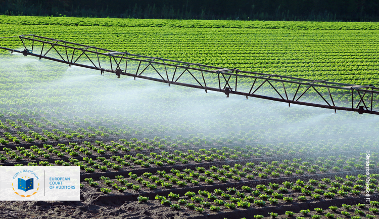 Agricultura de precisão