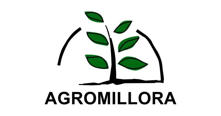 agromillora