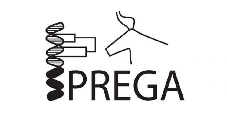 Sprega