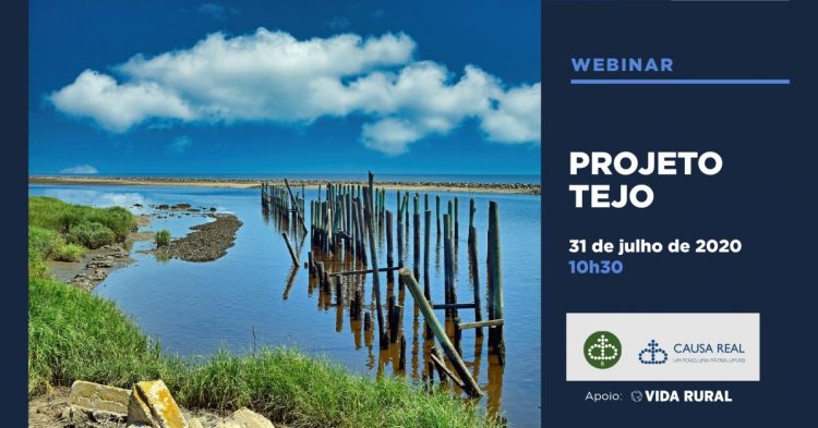 Webinar Projeto Tejo