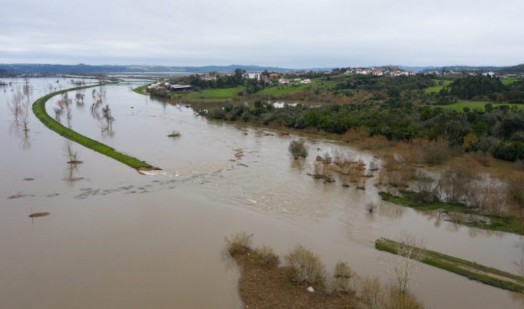 cheias mondego