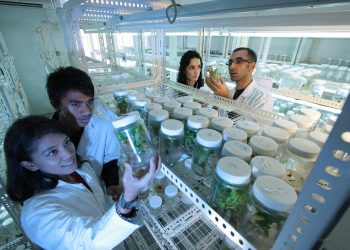 laboratório biotecnologia vegetal