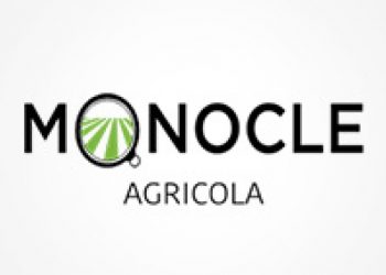 monocle
