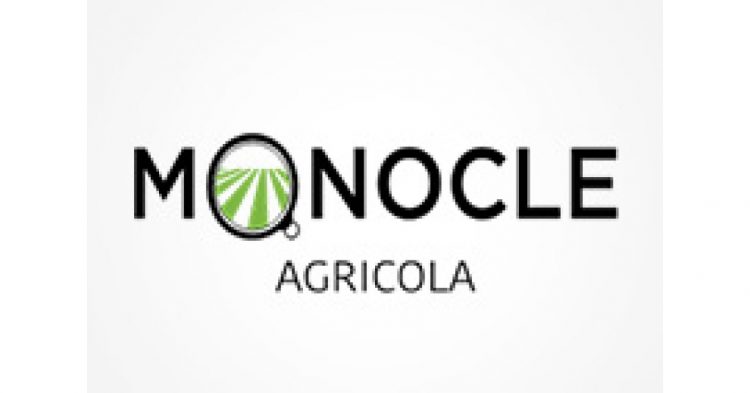 monocle