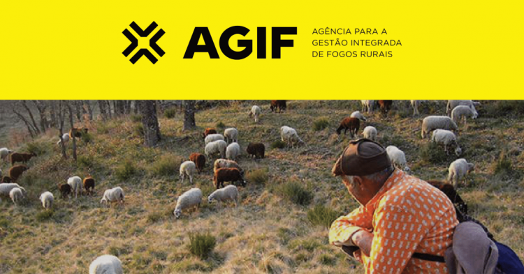 agif fogos