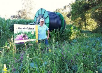 Carlos Neves Operation Pollinator