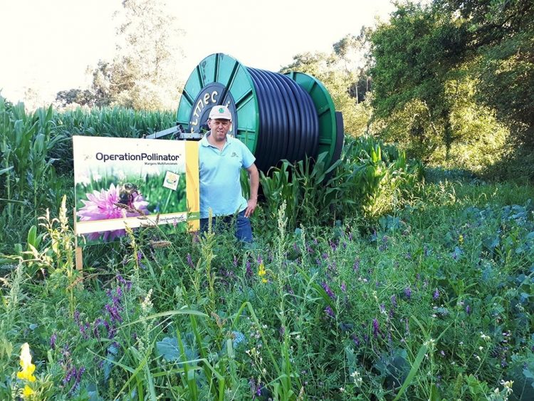 Carlos Neves Operation Pollinator