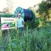 Carlos Neves Operation Pollinator