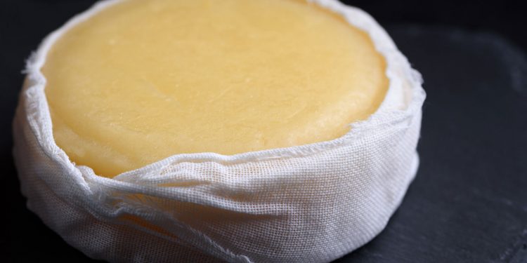 queijo de azeitao dop