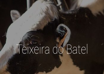 teixeira do batel