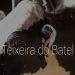 teixeira do batel