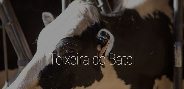 teixeira do batel