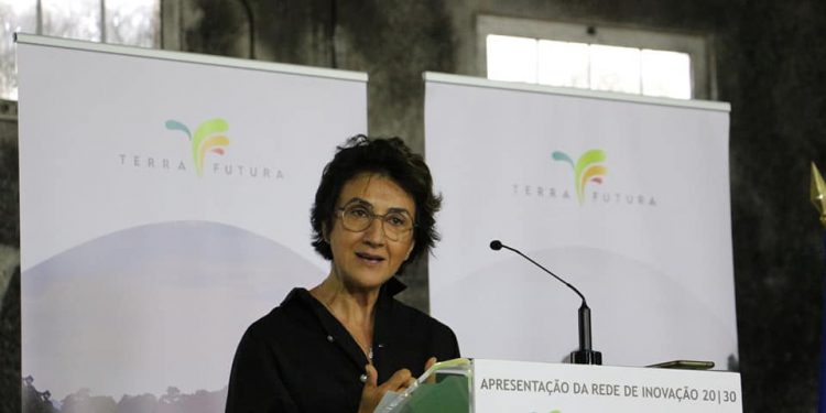 Maria do Céu Antunes