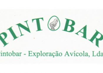 pintobar