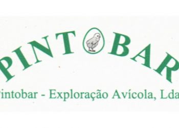 pintobar