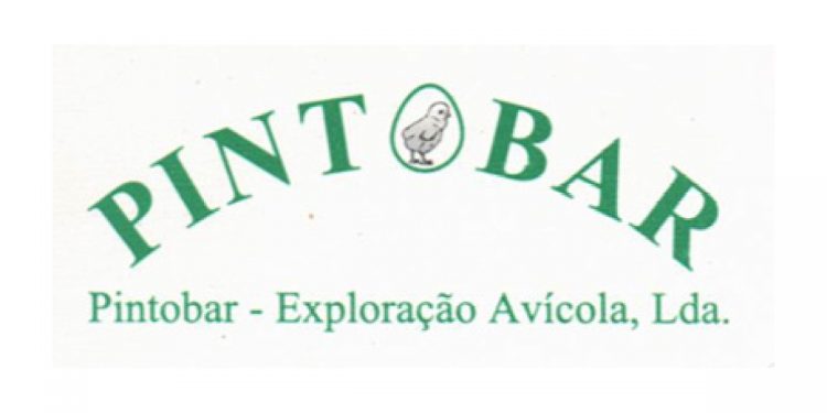 pintobar