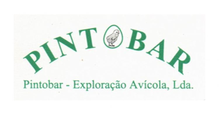 pintobar