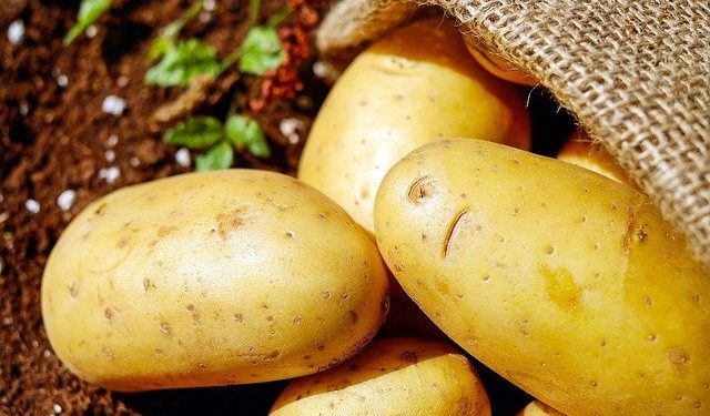 batatas