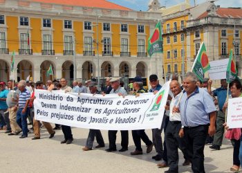 manifestação