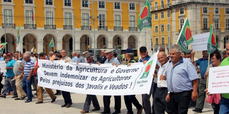 manifestação