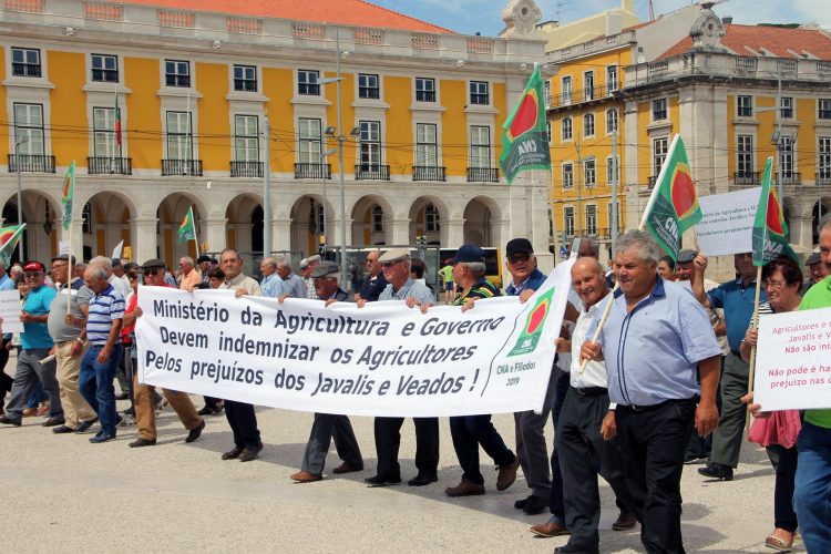 manifestação