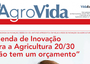 agrovida outubro 2020