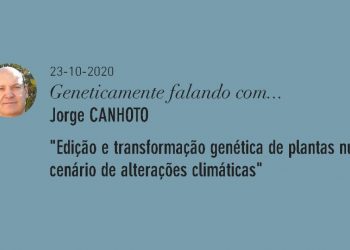 Jorge Canhoto