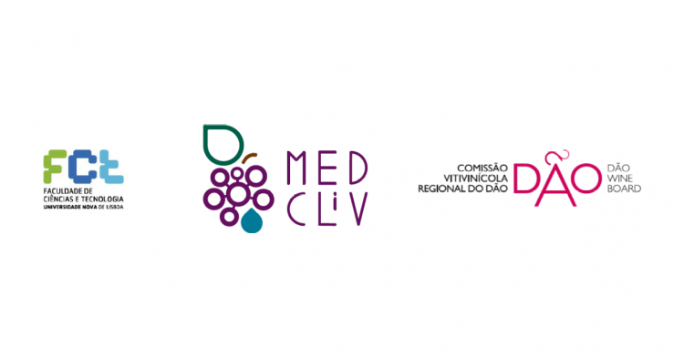 medcliv