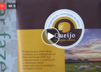 queijo