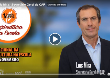 Luís Mira CAP