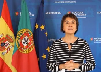 Maria do Céu de Albuquerque