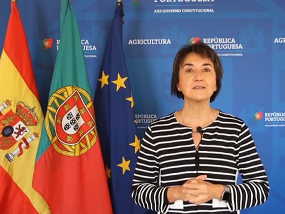 Maria do Céu de Albuquerque