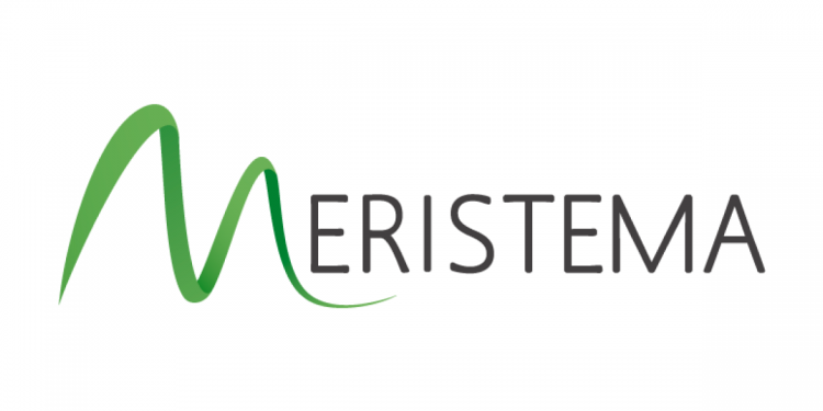 Meristema