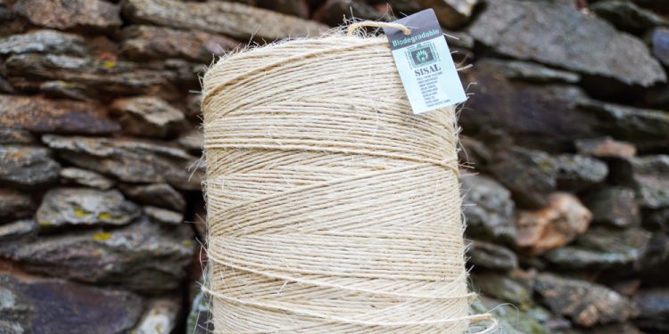 sisal