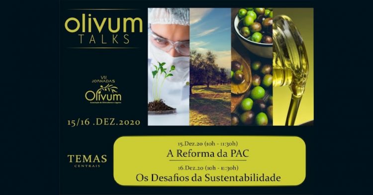 Olivum talks