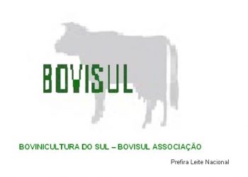 Bovisul