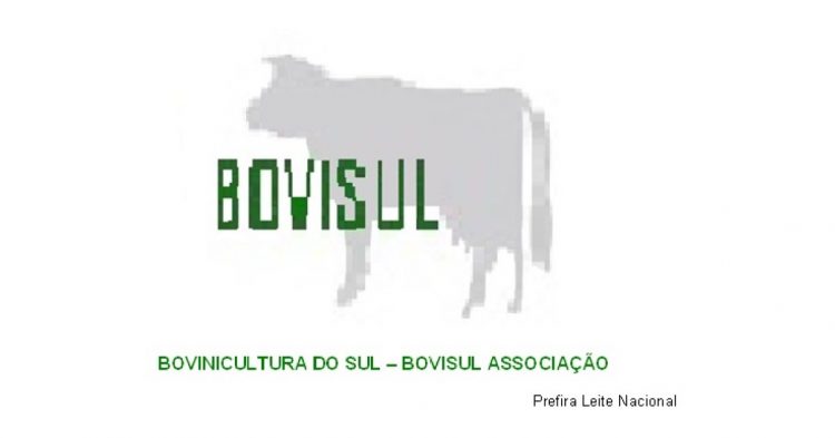 Bovisul