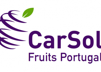 CarSol portugal