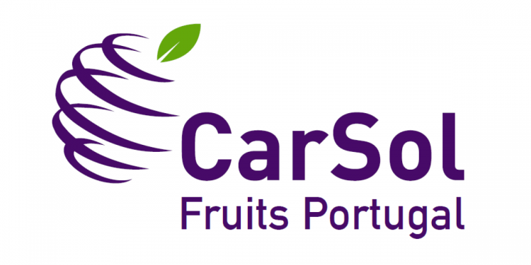 CarSol portugal
