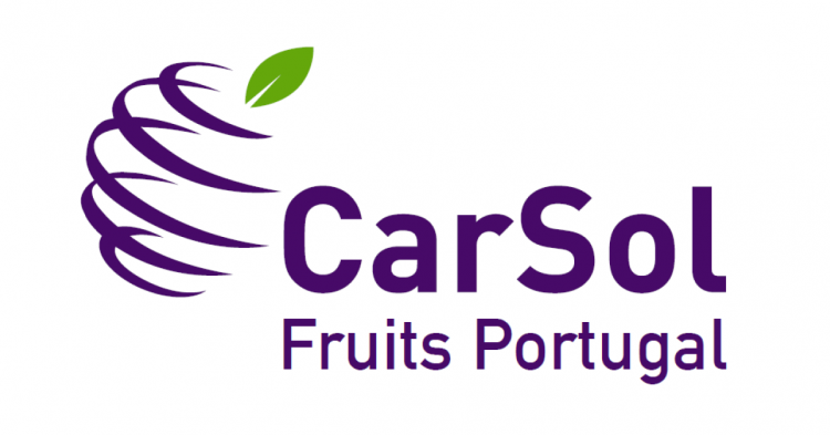 CarSol portugal