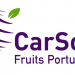 CarSol portugal