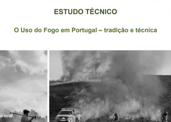 uso fogo oti