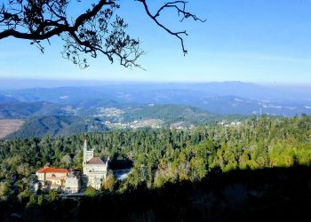 Mata do Bussaco