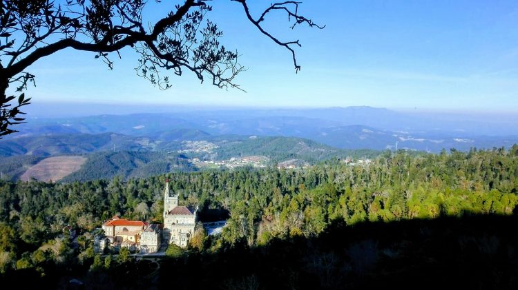 Mata do Bussaco