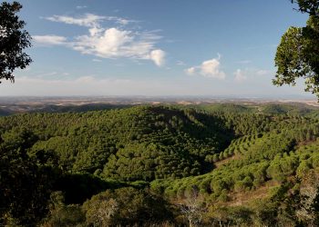 Herdade da Contenda