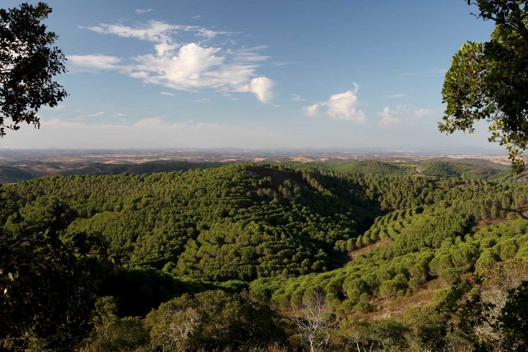 Herdade da Contenda