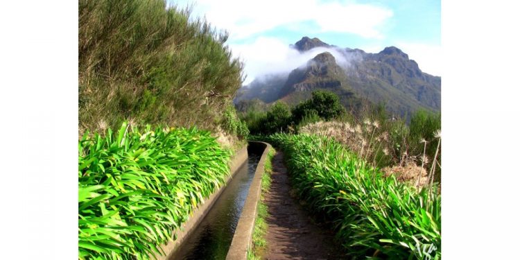 canal rega madeira